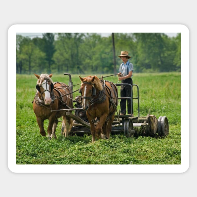 Amish Boy Sticker by wolftinz